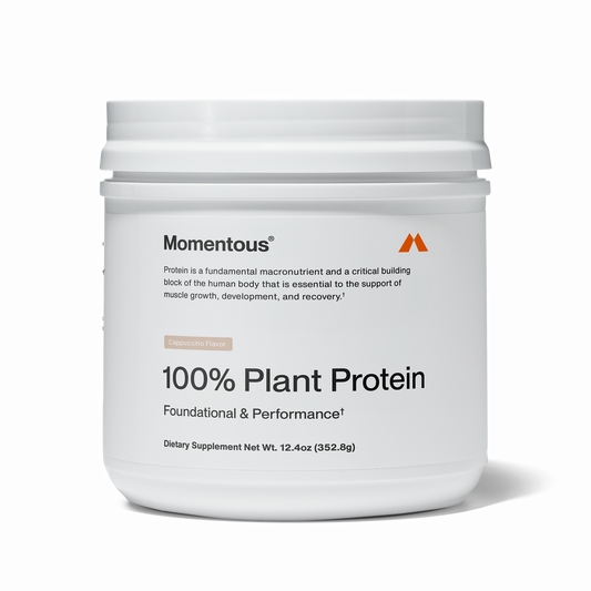 100% Plant Protein Powder - Limited Edition Flavor