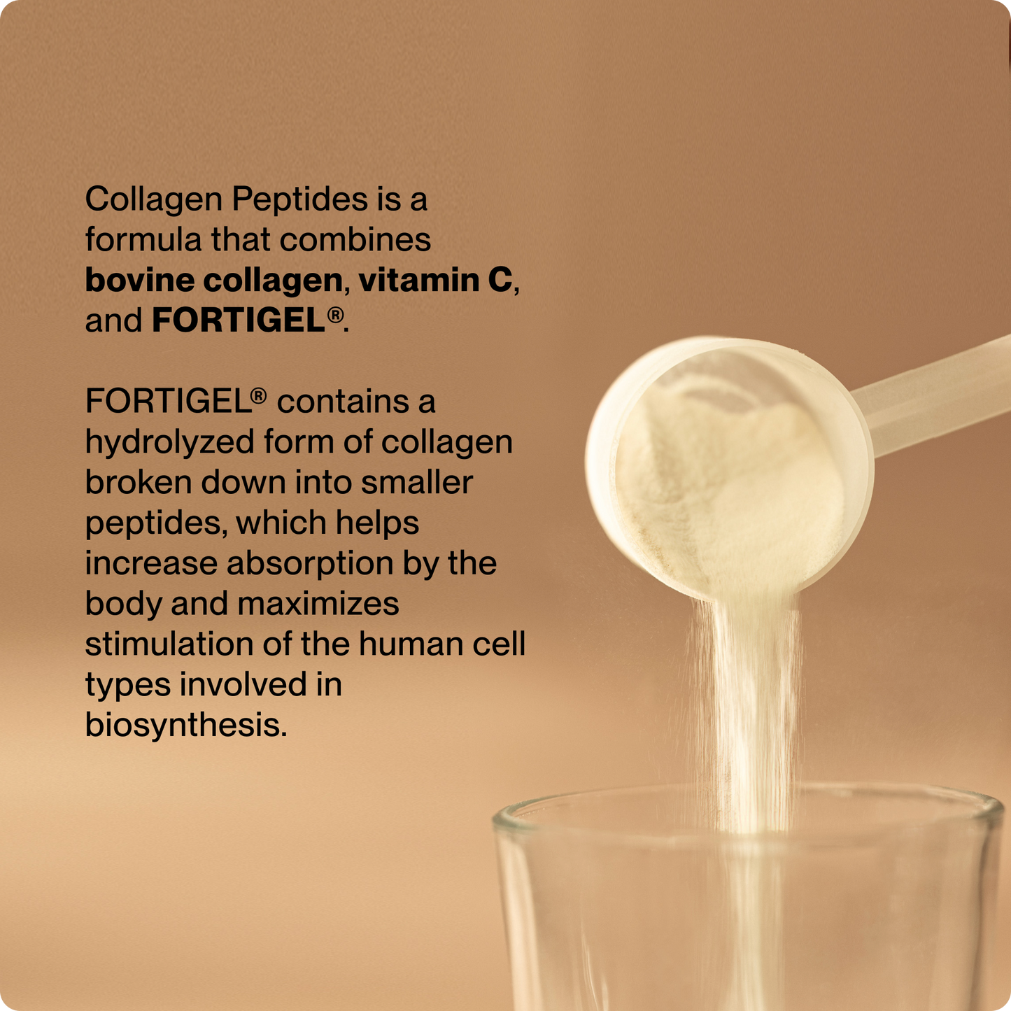 Collagen Peptides 10-Travel Packs