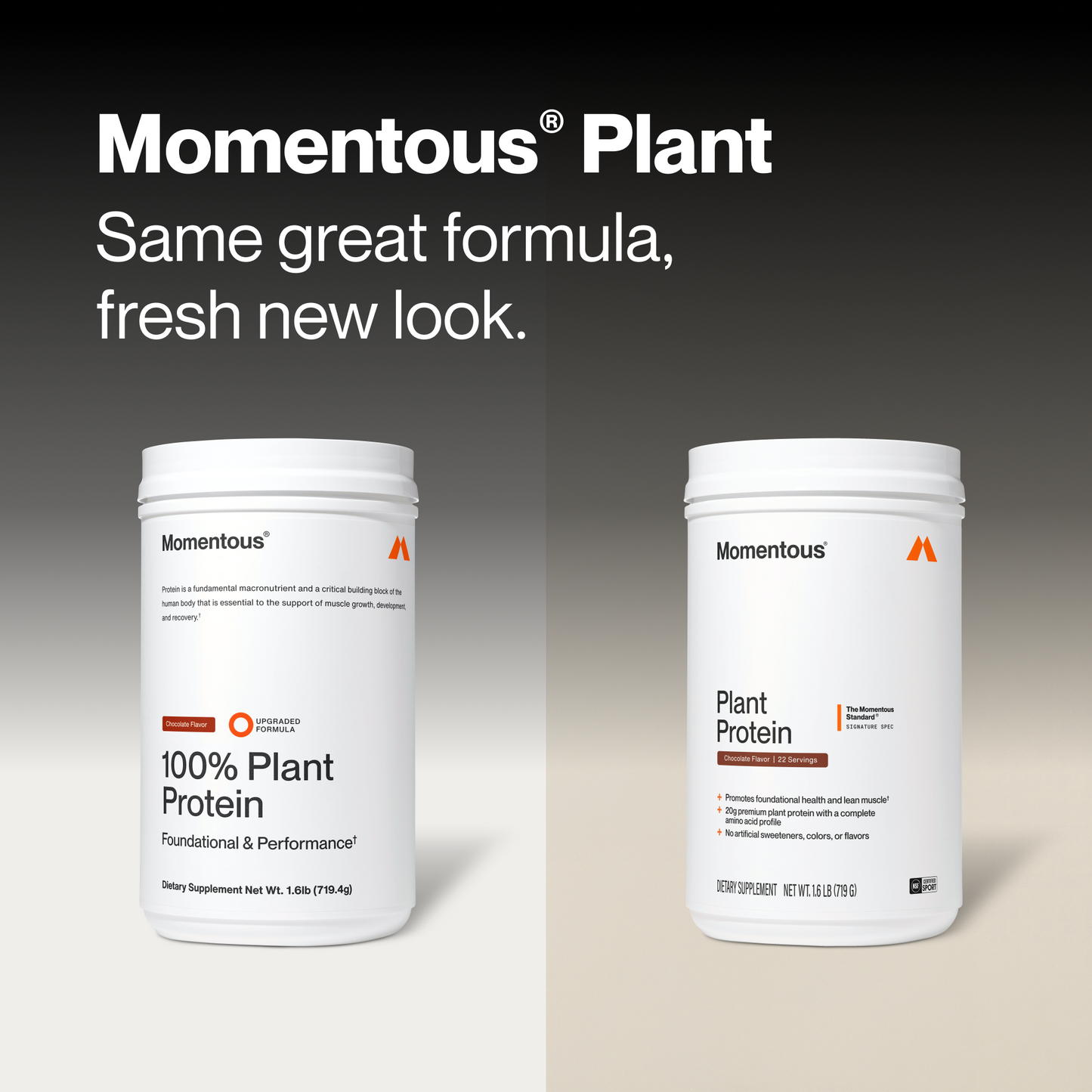 100% Plant Protein Powder